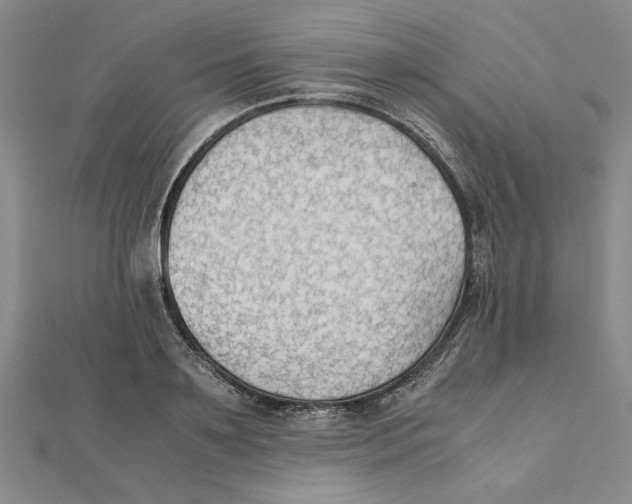 X0000111350891200908071130
