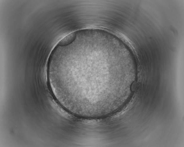 X0000111350892200908071130