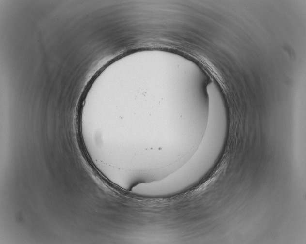 X0000111350893200908071130