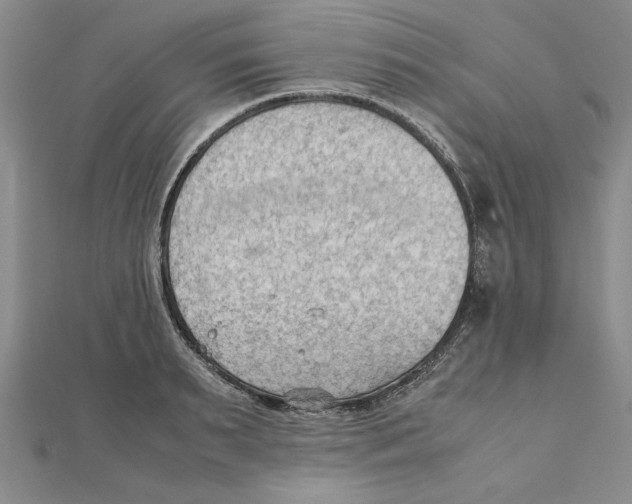X0000111350895200908071130