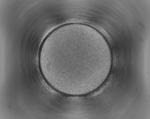 X0000111350896200908071130