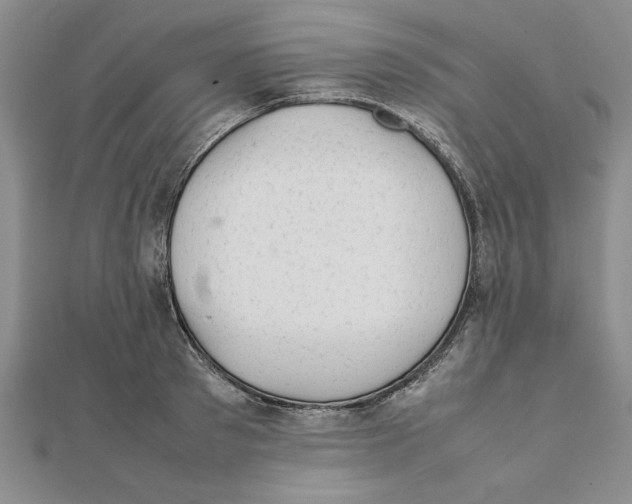 X0000111350897200908071130