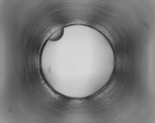 X0000111350898200908071130