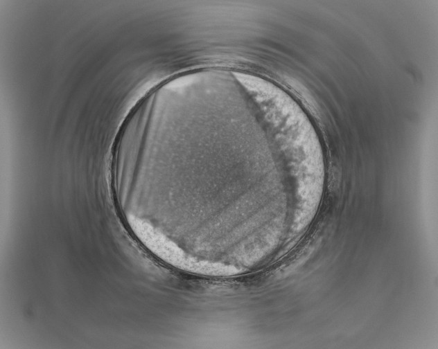 X0000111350899200908071130