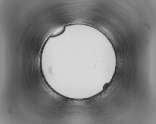 X0000111350900200908071130