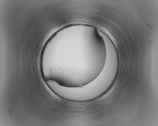 X0000111350901200908071130
