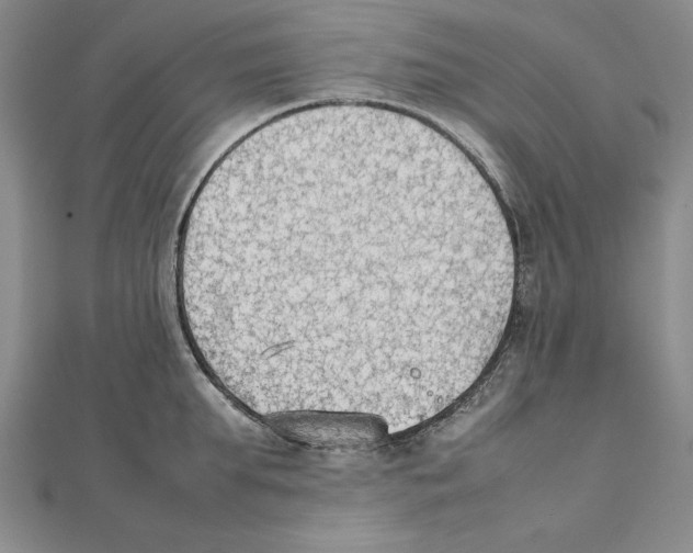 X0000111350903200908071130