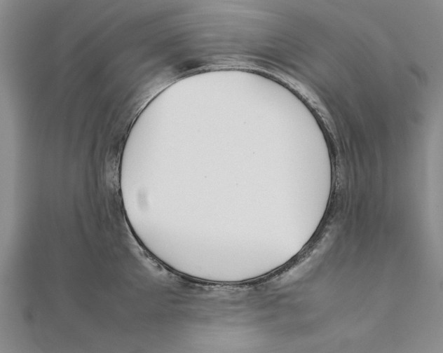 X0000111350905200908071130
