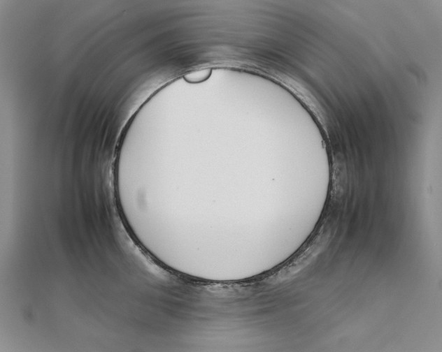 X0000111350906200908071130