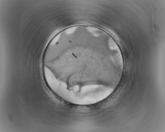 X0000111350907200908071130