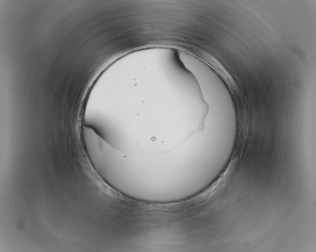 X0000111350908200908071130