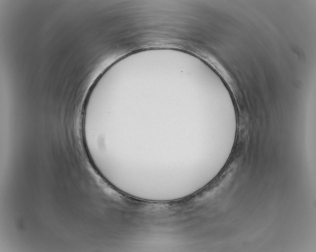 X0000111350909200908071130