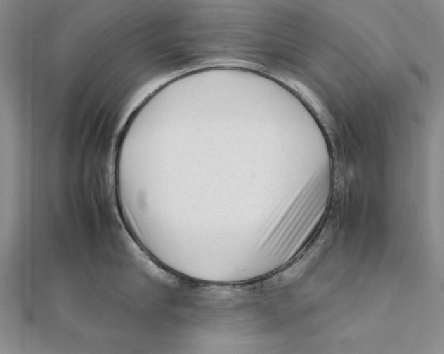 X0000111350910200908071130