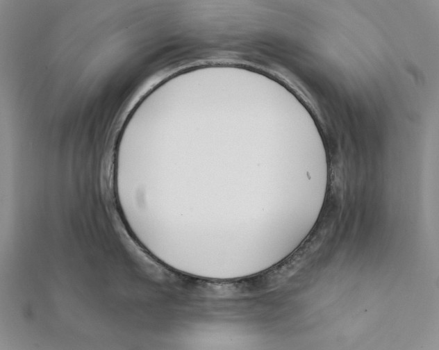 X0000111350911200908071130