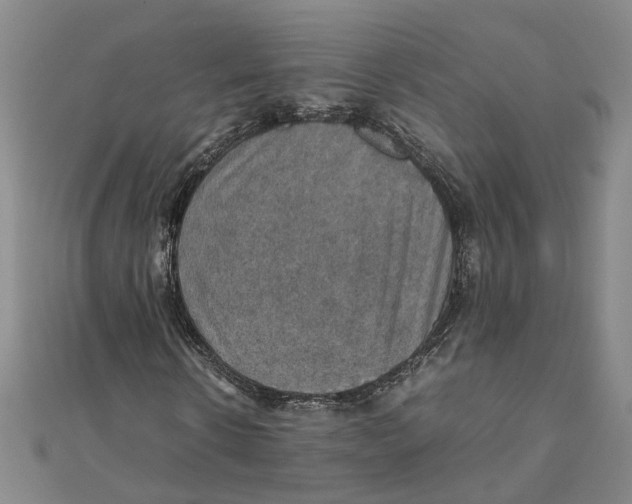 X0000111350914200908071130