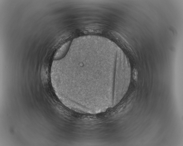 X0000111350915200908071130