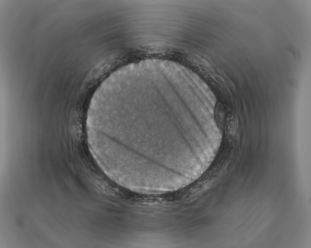 X0000111350916200908071130