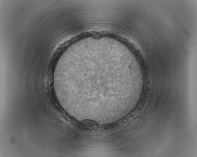 X0000111350920200908071130