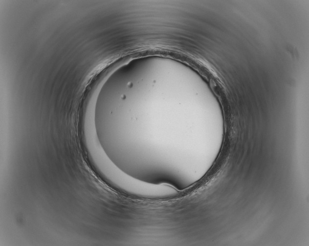 X0000111350922200908071130