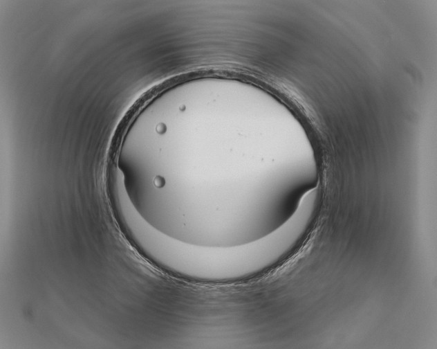 X0000111350924200908071130