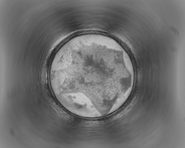 X0000111350925200908071130