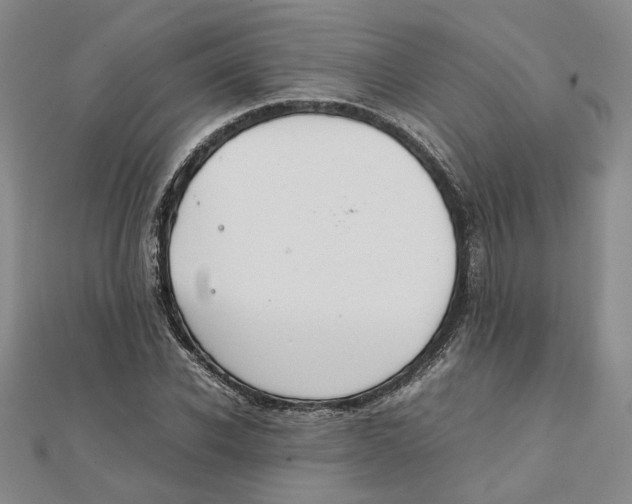 X0000111350926200908071130
