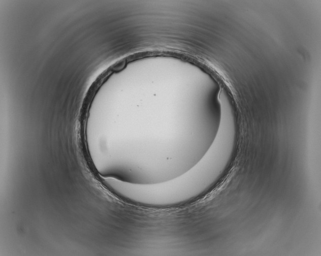 X0000111350928200908071130