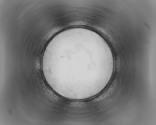 X0000111350929200908071130