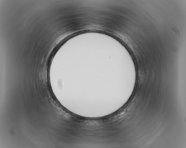 X0000111350931200908071130