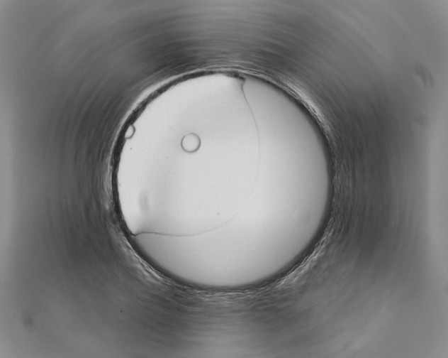 X0000111350932200908071130