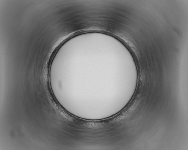 X0000111350933200908071130