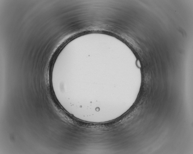 X0000111350934200908071130