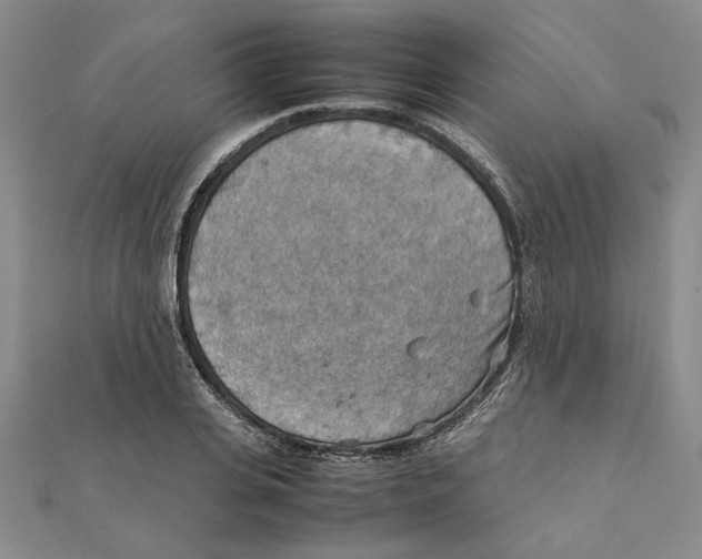 X0000111350935200908071130