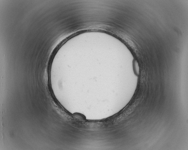 X0000111350936200908071130