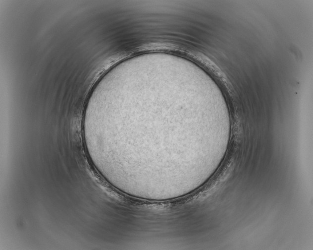 X0000111350937200908071130