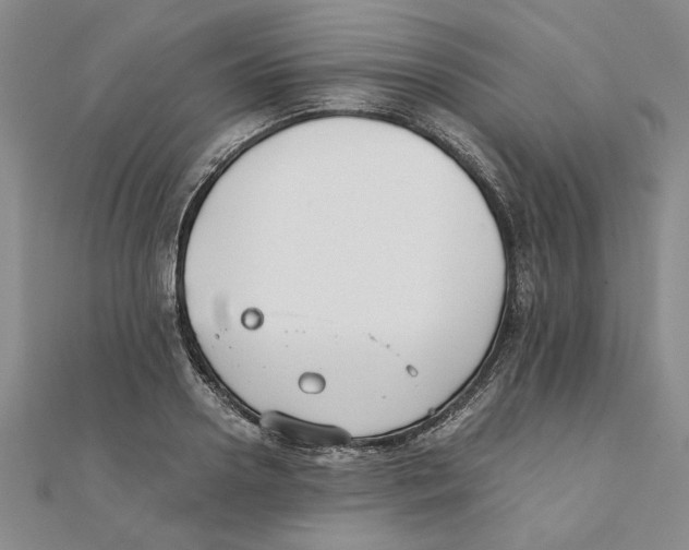 X0000111350938200908071130