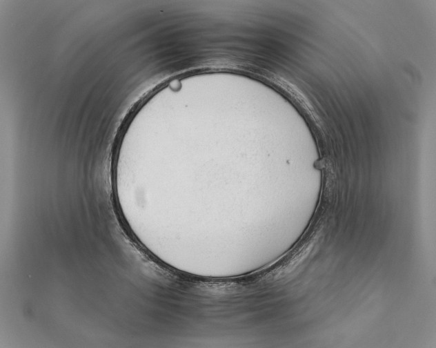 X0000111350939200908071130