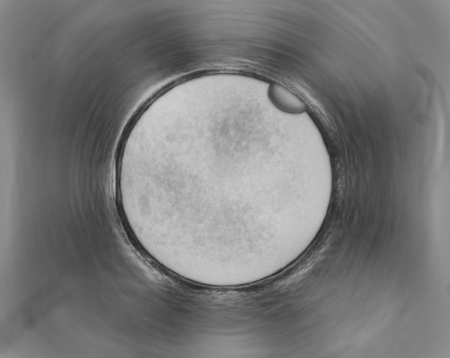 X0000111350940200908071130