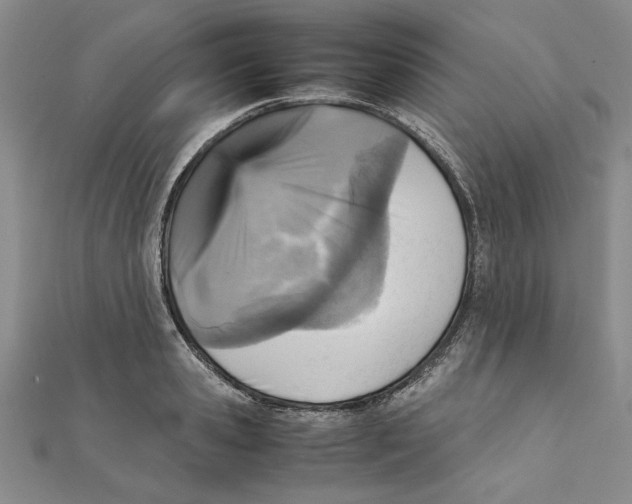 X0000111350941200908071130
