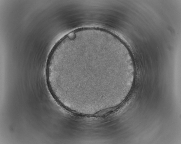 X0000111350943200908071130
