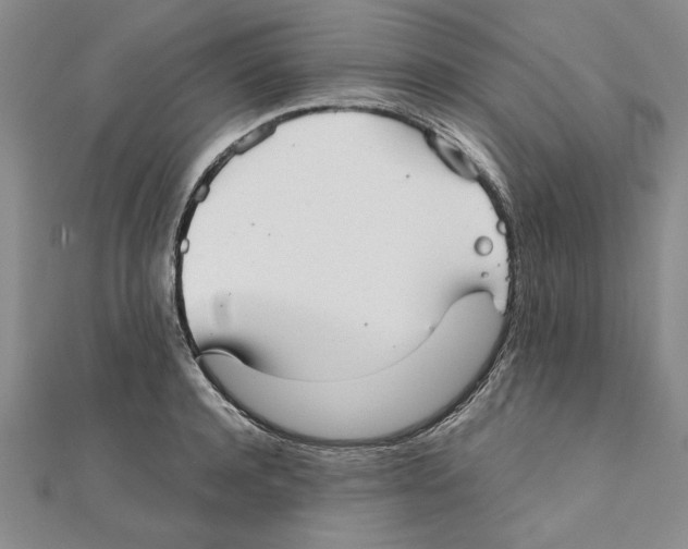 X0000111350944200908071130