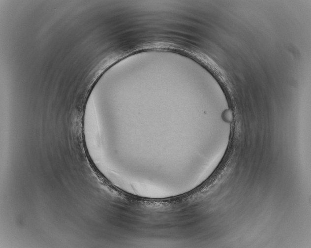 X0000111350945200908071130