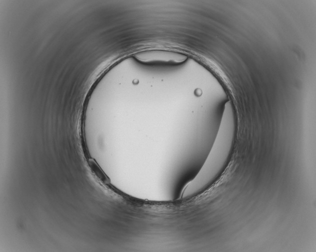 X0000111350946200908071130