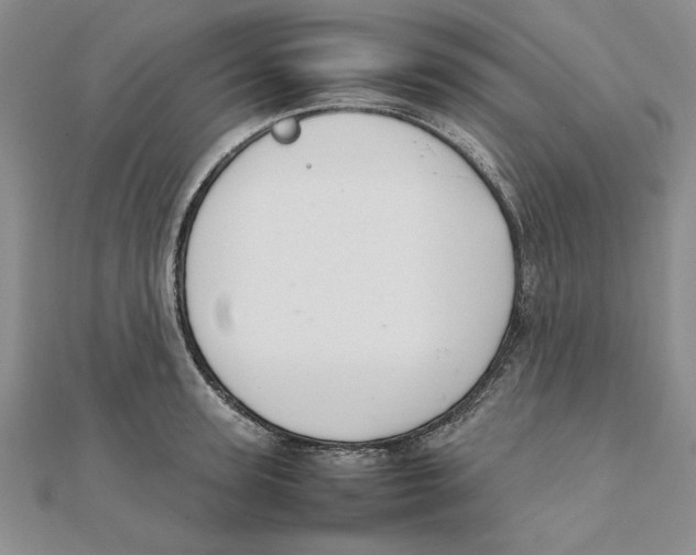 X0000111350947200908071130