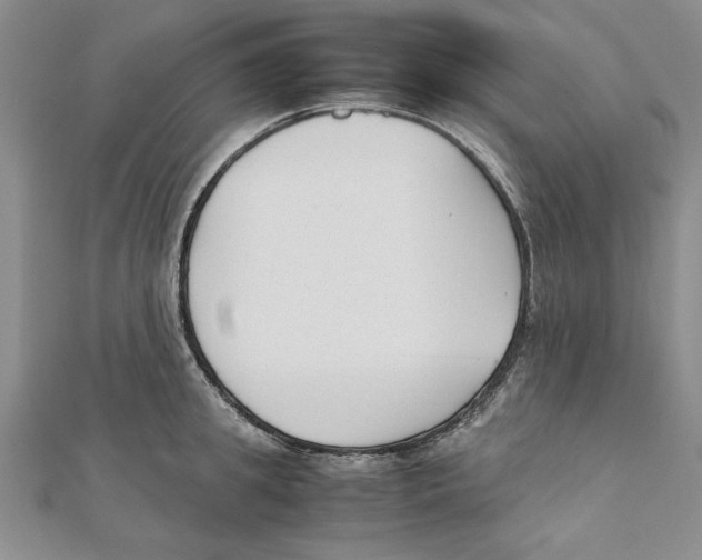 X0000111350949200908071130