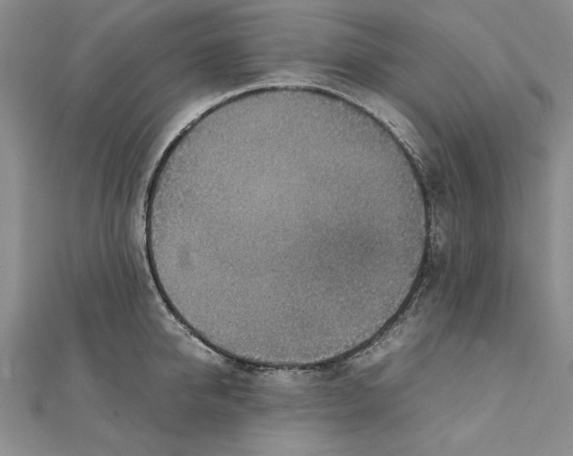 X0000111350950200908071130