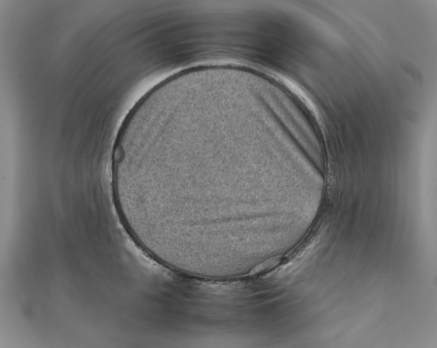 X0000111350951200908071130