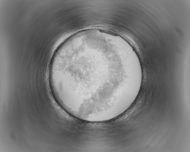 X0000111350952200908071130