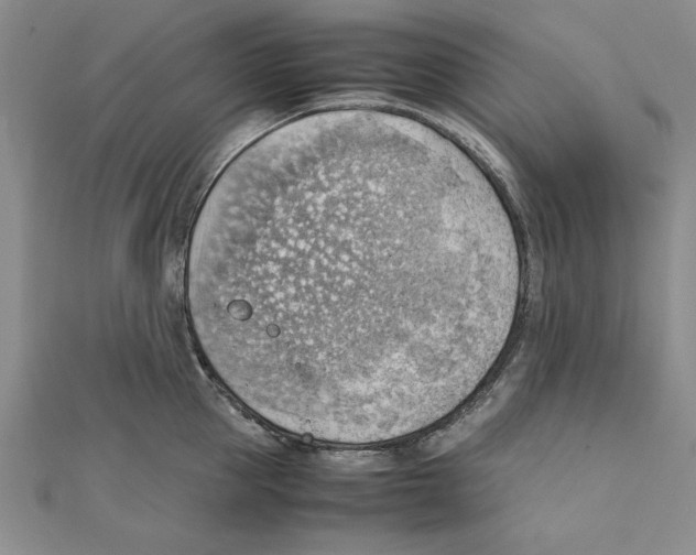 X0000111350953200908071130