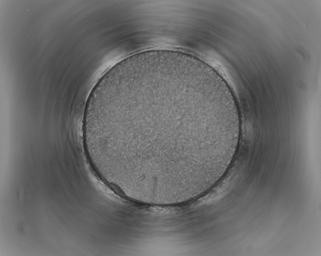 X0000111350954200908071130
